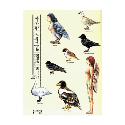 세미콜론  사가판 조류도감