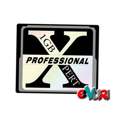 제이컴  XPERT CF Professional 80X [1GB]