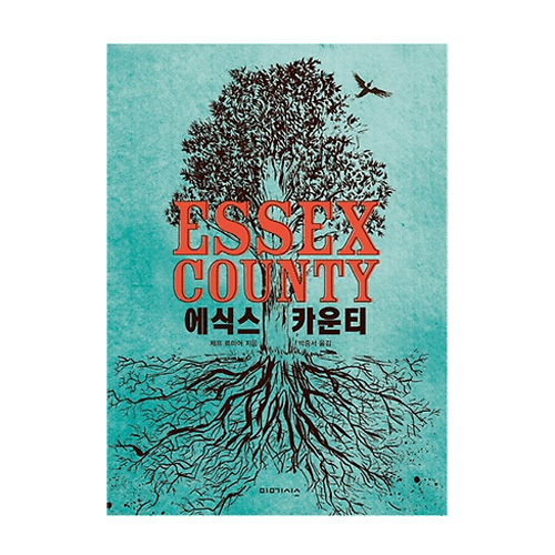 미메시스(열린책들)  (만화) 에식스 카운티 (양장본) - 미메시스 예술 만화