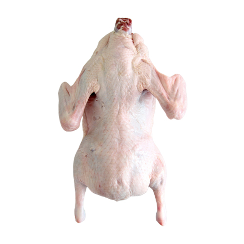 다모아영농조합법인  무항생제 국내산 생 오리 통오리 2kg