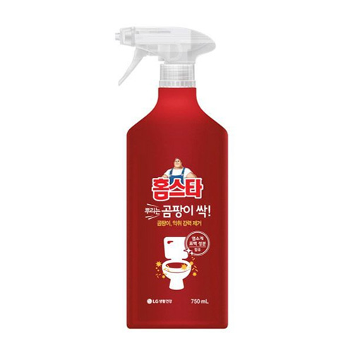 LG생활건강 홈스타 뿌리는 곰팡이싹 750ml