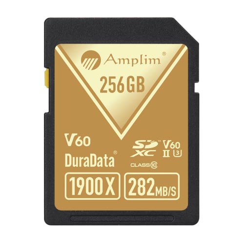 Amplim SD 1900X 해외구매[256GB]