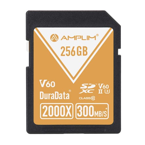 Amplim SD 2000X 해외구매[256GB]