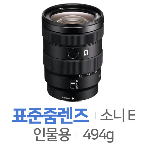 소니 알파 E 16-55mm F2.8 G