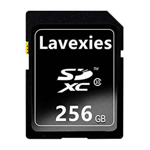 Lavexies SDXC Class10 해외구매[256GB]