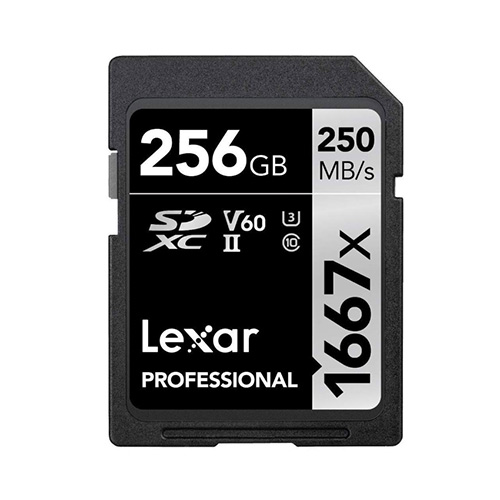 렉사  SD Professional 1667X 해외구매 [256GB]
