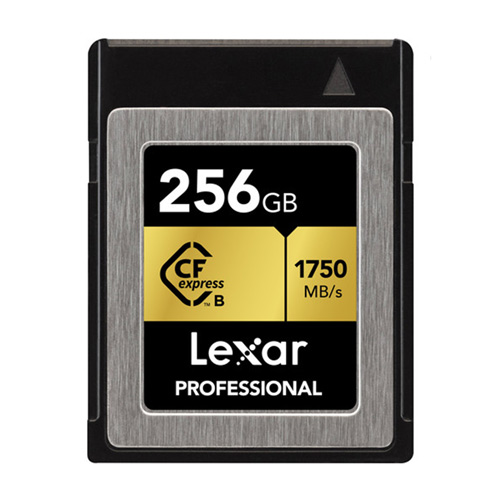 렉사 CFexpress Type B Professional 해외구매[256GB]