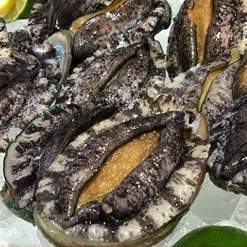 해신수산  라면전복 40-70미 1kg