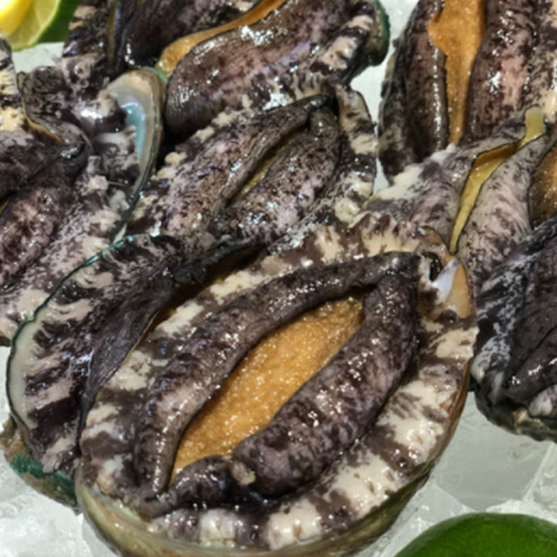 해신수산  완도 전복 선물세트 12-13미 1kg