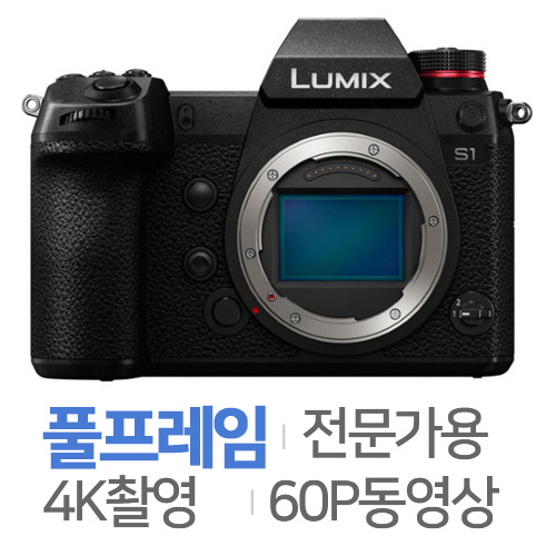 파나소닉 루믹스 DC-S1 바디
