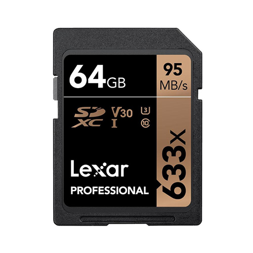 렉사 SD Professional (2018) 해외구매[64GB]