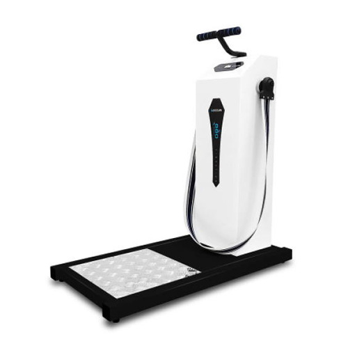 이고진  벨트마사지기 클럽용 EX880