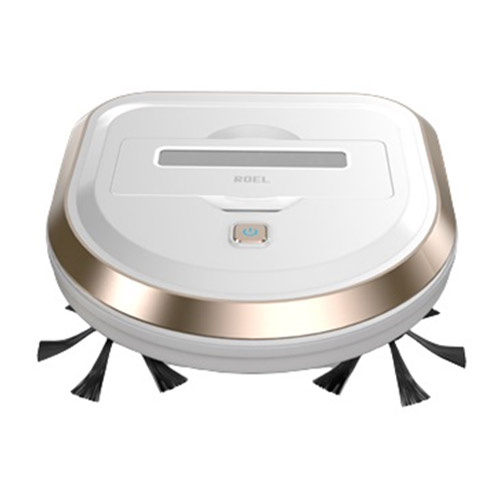 로엘  듀스핀 로봇