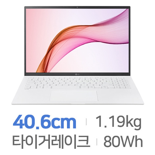 LG전자 2021 그램16 16ZD90P-GX50K [SSD 256GB]