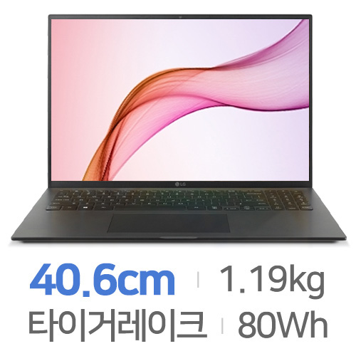 LG전자 2021 그램16 16Z90P-GA5BK