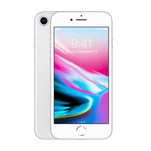 APPLE  아이폰8 LTE 256GB, 공기계