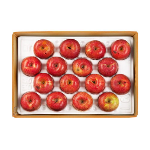 한우리영농조합 장길영사과 갈아먹는 알뜰사과 특대과 20~32과 10kg