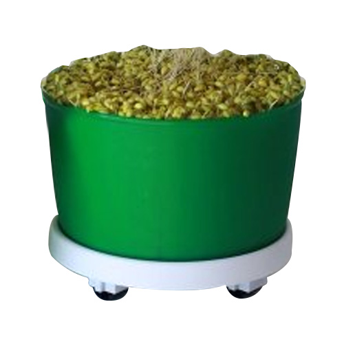 아이가든 그린 콩나물 시루