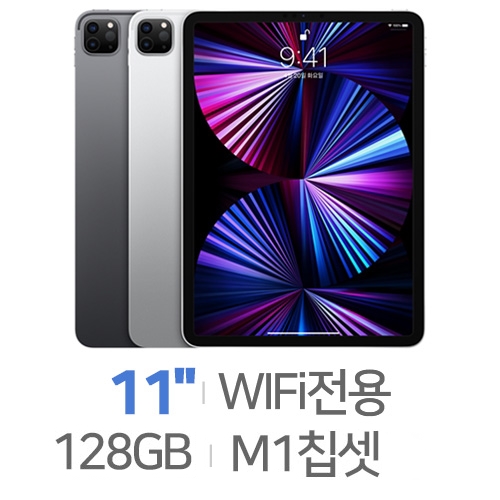 Apple 2021 iPad Pro 11 3세대 [128GB]