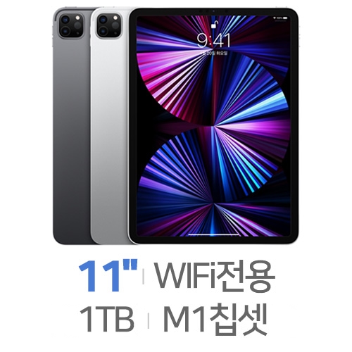 APPLE  2021 iPad Pro 11 3세대