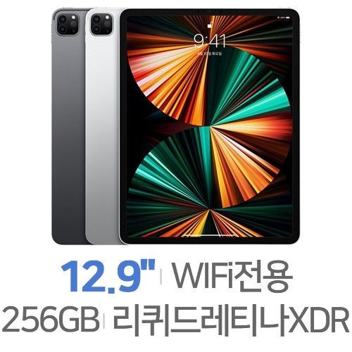Apple 2021 iPad Pro 12.9 5세대 [256GB]
