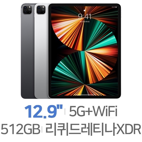 Apple 아이패드 프로 12.9 5세대 Cellular 512GB[해외구매]