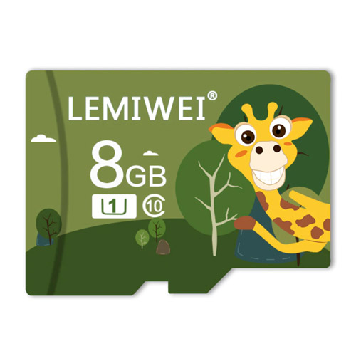 LEMIWEI microSD TF-26 해외구매[8GB]