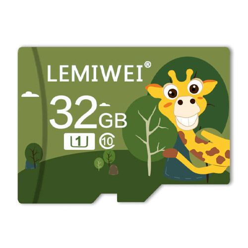 LEMIWEI  microSD TF-26 해외구매 [32GB]