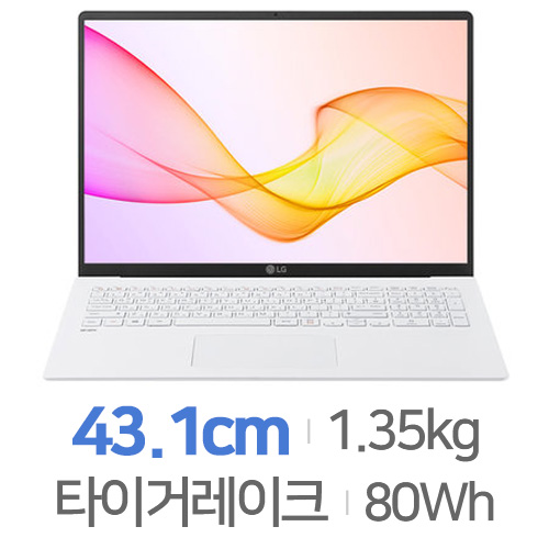 LG전자 2021 그램17 17Z95N-OA76K