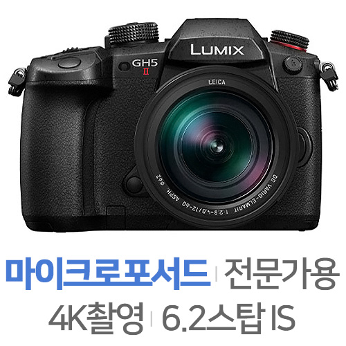 파나소닉 루믹스 DC-GH5 II 바디