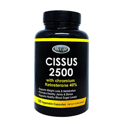 마이라이프 시서스 2500 120캡슐