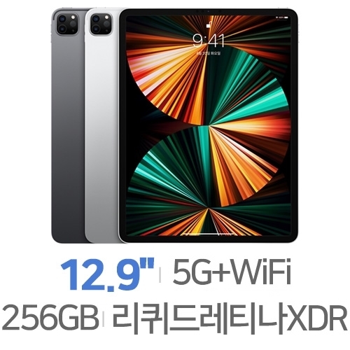 Apple  2021 iPad Pro 12.9 5세대 Cellular 중고