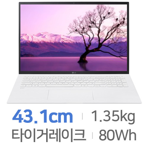 LG전자 2021 그램17 17Z90P-GA76K[SSD 1TB + SSD 1TB]