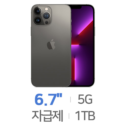 Apple  아이폰13 프로 맥스 1TB, 자급제