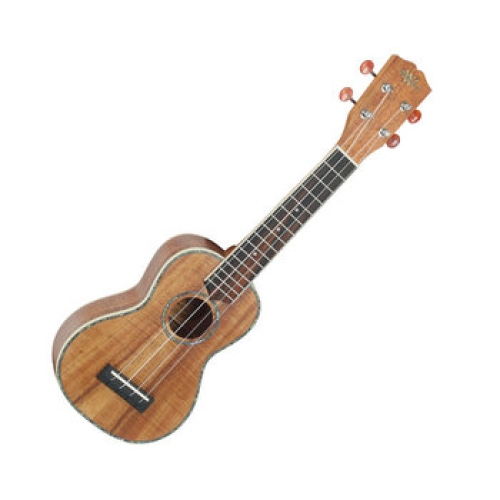 와일드우드  WS300K