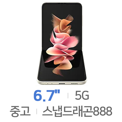 삼성전자  갤럭시Z 플립3 256GB, 공기계