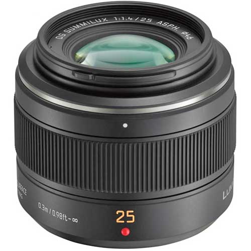 파나소닉 Leica DG Summilux 25mm F1.4 ASPH[정품]