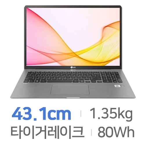LG전자 2021 그램17 17ZD95N-GX5SK WIN11