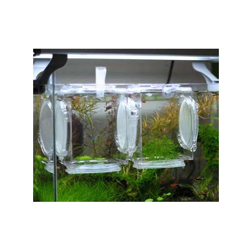 메타큐브  다기능 부화통 MA-5