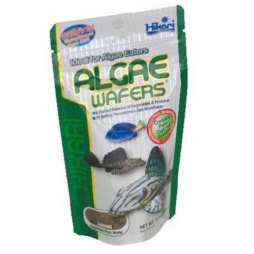 히카리  플레코 사료