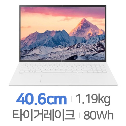 LG전자 2022 그램16 16ZD95P-GX76K