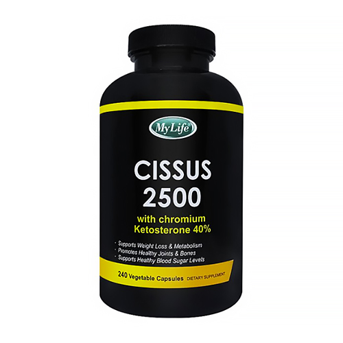 마이라이프 시서스 2500 (해외쇼핑) 240캡슐