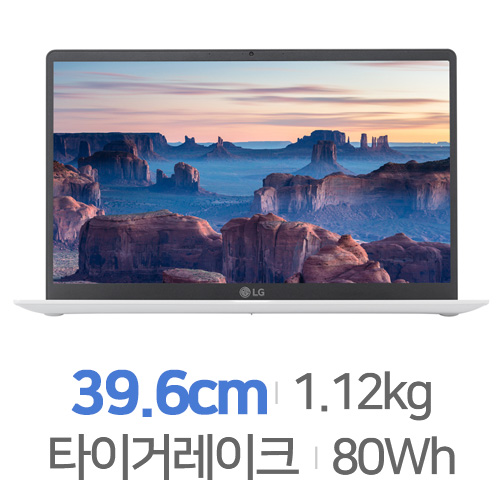 LG전자 2021 그램15 15Z95N-GR5DK