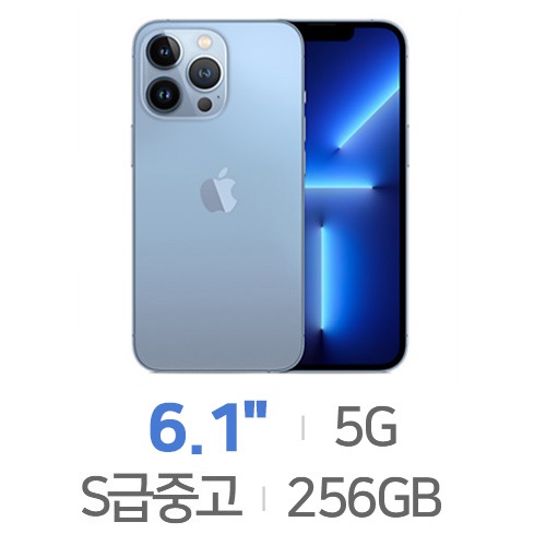 APPLE  아이폰13 프로 256GB, 공기계