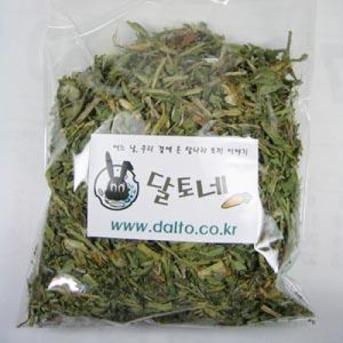 달토네  민들레