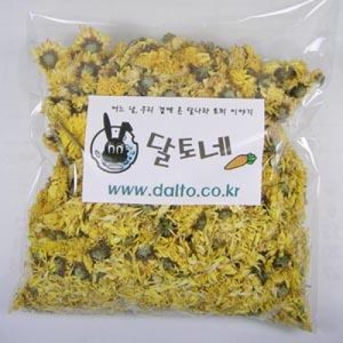 달토네  국화꽃