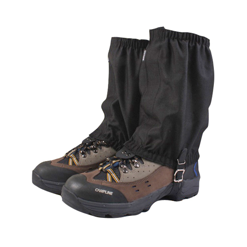 데이타임 숏 스패츠