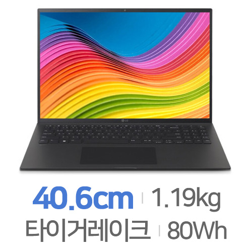 LG전자 2022 그램16 16ZD95P-GX5BK