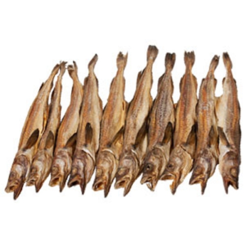 청정설악  하늘내린 용대리 통황태 특왕 47cm