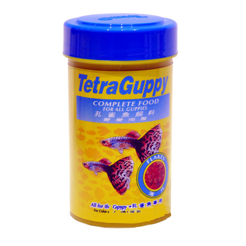 테트라  구피 플레이크